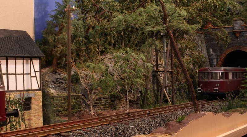 Aartalbahn 08.01.2016