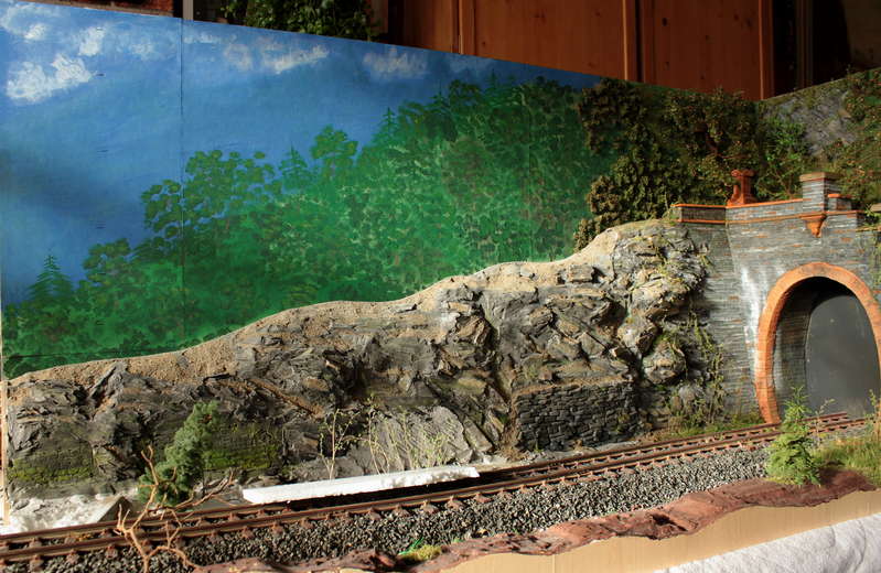 Aartalbahn 09.02.2014