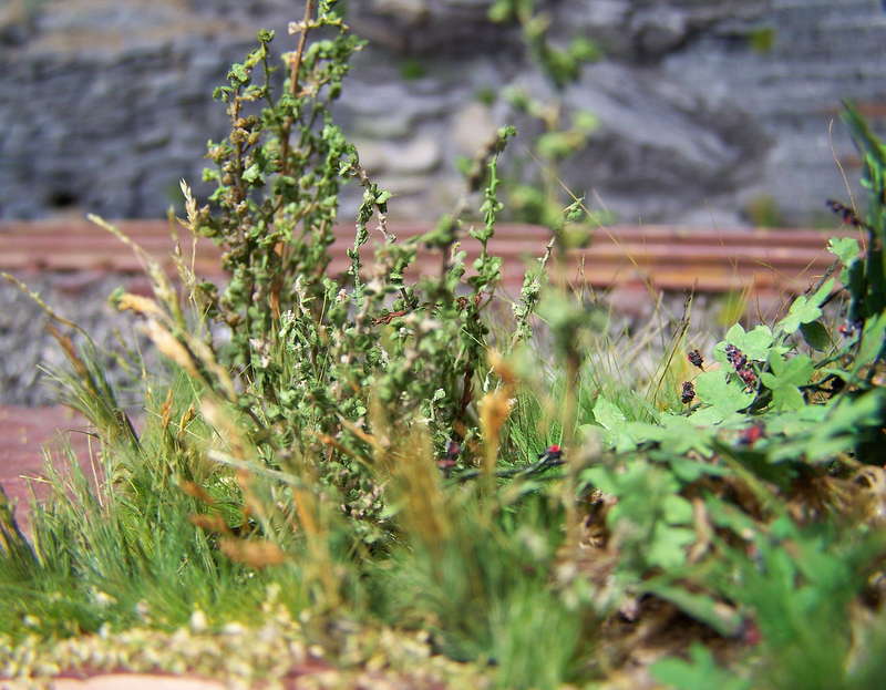 Aartalbahn 10.05.2013