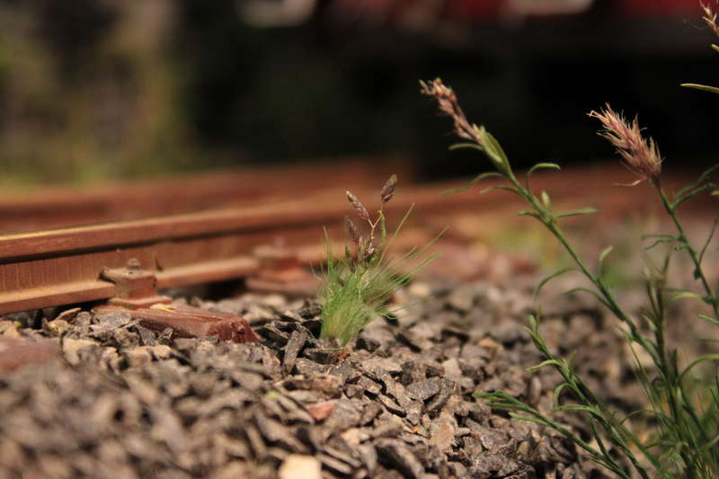 Aartalbahn 12.09.2015
