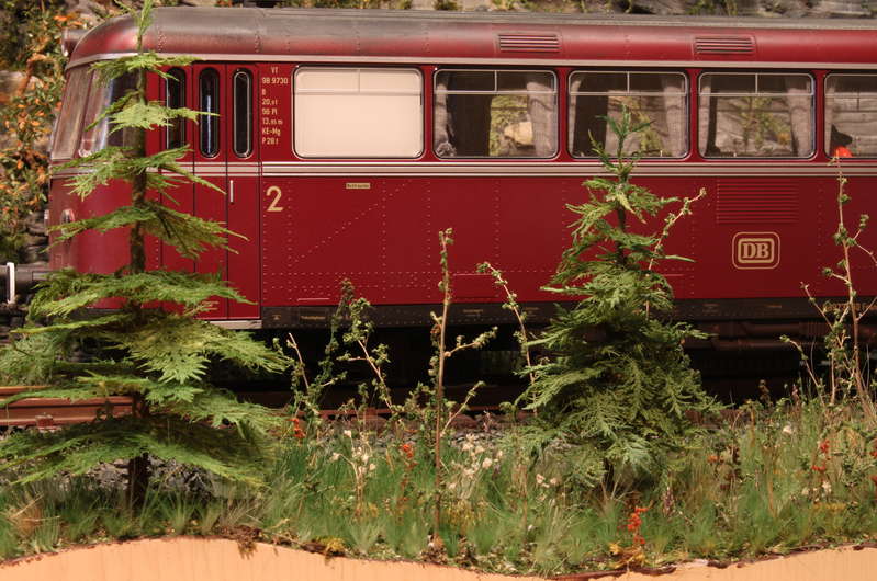 Aartalbahn 13.09.2015