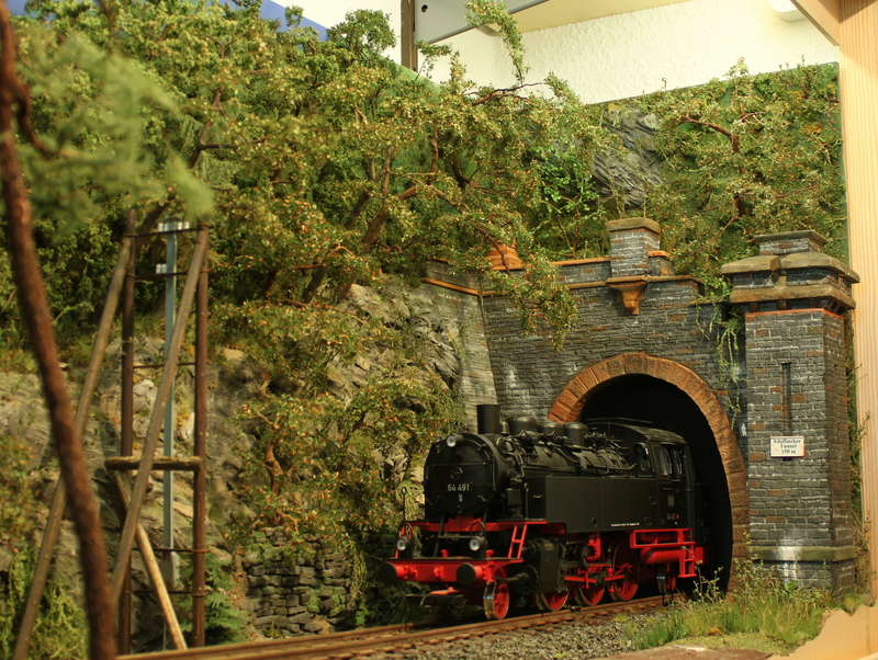 Aartalbahn 14.06.2015