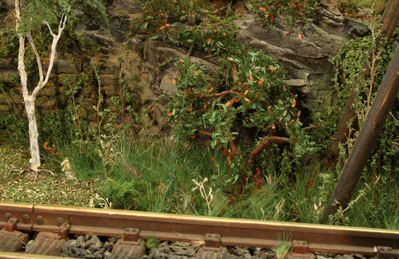 Aartalbahn 14.08.2016