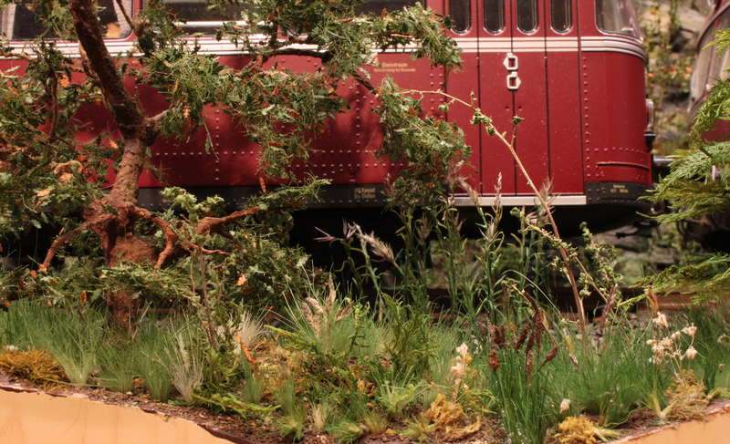 Aartalbahn 16.01.2016