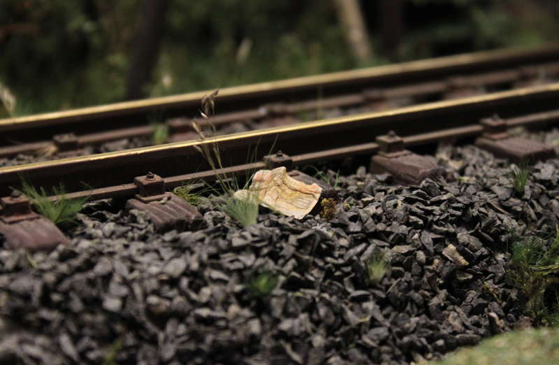 Aartalbahn 25.01.2017