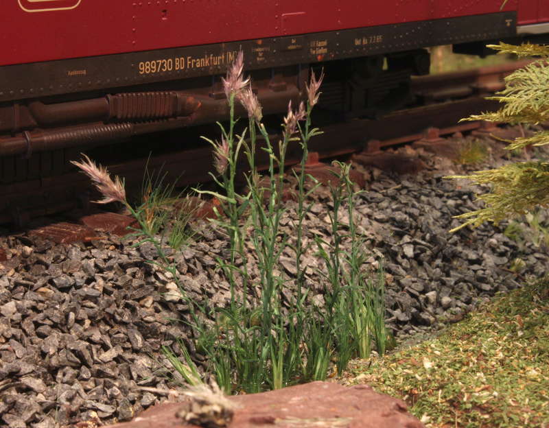 Aartalbahn 29.08.2015