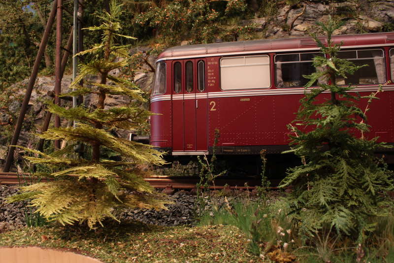 Aartalbahn 29.08.2015