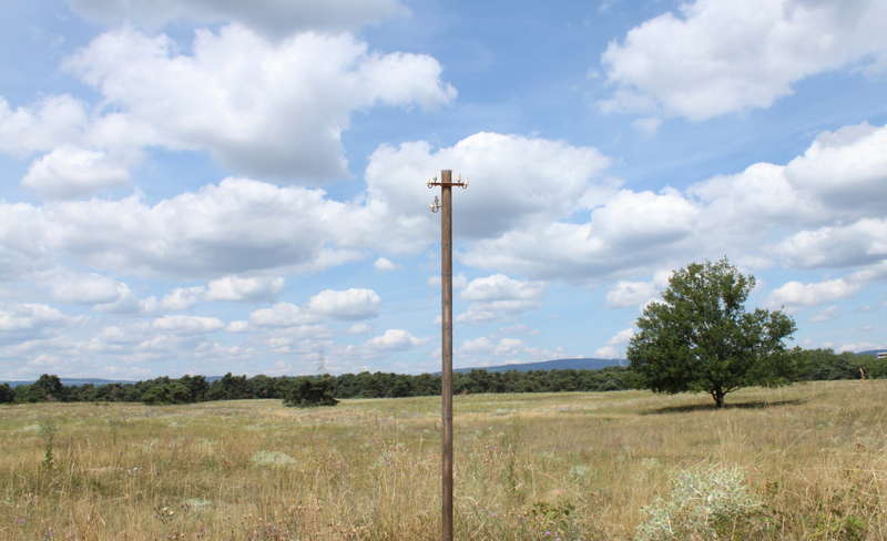 Telegraphenmast 31.07.2015
