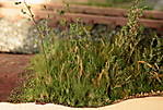 4346Aartalbahn_02_02_2014.jpg
