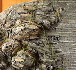 4346Aartalbahn_02_02_2014_c.jpg