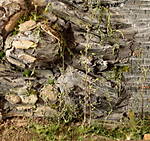 4346Aartalbahn_02_02_2014_d.jpg