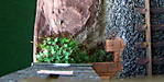 4346Aartalbahn_03_03_2013_g.jpg