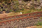 4346Aartalbahn_03_07_2015_e.jpg