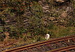 4346Aartalbahn_05_07_2015_a.jpg
