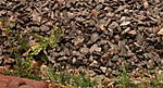4346Aartalbahn_08_01_2016_d.jpg