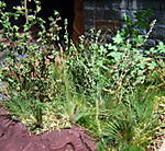 4346Aartalbahn_10_05_2013.jpg