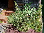 4346Aartalbahn_10_05_2013_g.jpg