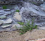 4346Aartalbahn_10_05_2013_j.jpg