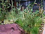 4346Aartalbahn_10_05_2013_k.jpg