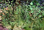 4346Aartalbahn_10_05_2013_l.jpg