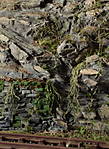 4346Aartalbahn_11_02_2014_c.jpg