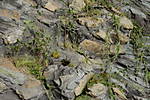 4346Aartalbahn_11_02_2014_d.jpg