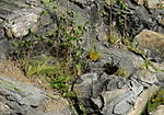 4346Aartalbahn_11_02_2014_e.jpg