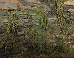4346Aartalbahn_14_01_2014_a.jpg