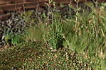 4346Aartalbahn_14_01_2014_c.jpg