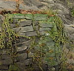 4346Aartalbahn_14_01_2014_e.jpg