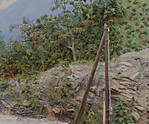 4346Aartalbahn_14_09_2014_c.jpg