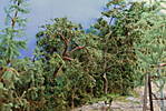 4346Aartalbahn_14_09_2014_d.jpg