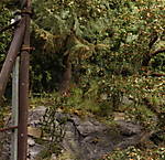 4346Aartalbahn_16_11_2014.jpg