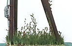 4346Aartalbahn_18_07_2015.jpg