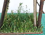 4346Aartalbahn_18_07_2015_f.jpg