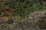 4346Aartalbahn_19_08_2014_f.jpg