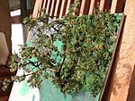 4346Aartalbahn_22_12_2013_e.jpg