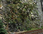 4346Aartalbahn_23_11_2014_d.jpg