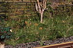 4346Aartalbahn_24_01_2017_1.jpg