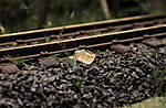 4346Aartalbahn_25_01_2017_c.jpg