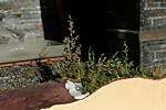 4346Aartalbahn_26_01_2014.jpg