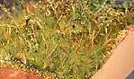 4346Aartalbahn_26_01_2014_c.jpg