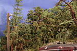 4346Aartalbahn_26_08_2015.jpg