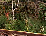 4346Aartalbahn_27_08_2016_c.jpg