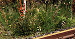 4346Aartalbahn_27_08_2016_d.jpg