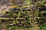4346Aartalbahn_27_08_2016_f.jpg