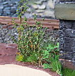 4346Aartalbahn_28_04_2013_b.jpg