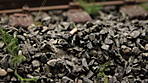 4346Aartalbahn_29_01_2017.jpg