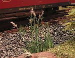 4346Aartalbahn_29_08_2015_b.jpg