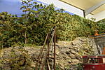 4346Aartalbahn_29_09_2014.jpg